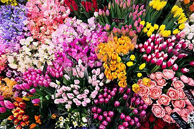 《碧蓝幻想Versus：Rising》1.1版本更新 DLC角色“Lucilius”上线