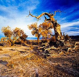 虚幻4飞龙网游《Draconia》预告片 即将登陆Steam抢先体验