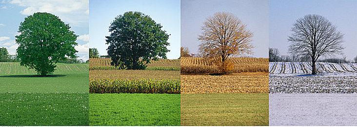 MMORPG名作《仙境传说3》曝光 或2026年推出